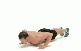 14 лучших упражнений для тренировки начинающих в домашних условиях — эффективно и просто