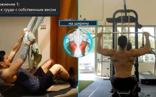Лучшие упражнения и программа тренировки для роста мышц спины дома — советы