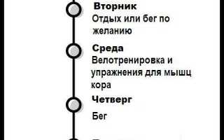 Шестинедельный план для велотренировок на развитие скорости, силы и выносливости — советы