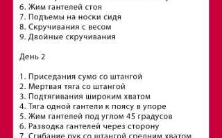12 комплексов фулбоди тренировок в гараже или в доме для начинающих