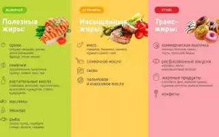 Вредные и полезные жиры или жиры жирам – рознь: факты и мифы