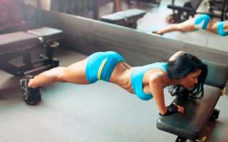 5 комплексов упражнений для круговых тренировок на все группы мышц для жиросжигания — эффективно и разнообразно