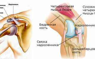 Как защитить суставы и связки во время тренировок? Советы