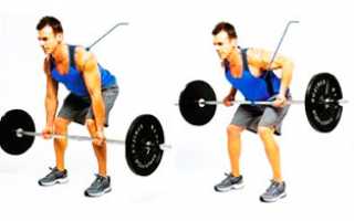 Программа тренировок на рельеф для начинающих