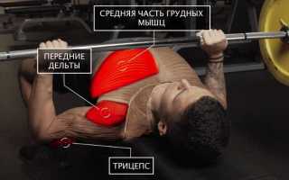 Лучшая фулбади тренировка для всего тела, направленная на рост мышечной массы и выносливости