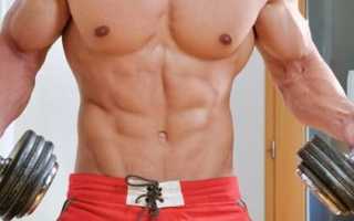 От чего зависит рост мышц и как грамотно его ускорить? Практические советы