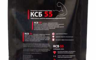 Протеиновый коктейль КСБ-55: вперед к спортивным достижениям силой питания