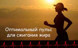 Лучшая частота пульса для сжигания жира — правильная формула расчета: советы