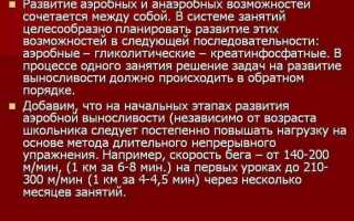 Анаэробные и аэробные нагрузки в тренировках: что это и как их сочетать