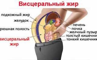 Вся правда о том, как сжечь жир на животе быстро и эффективно! Советы