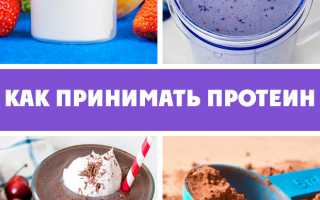Руководство для начинающих: как принимать протеин эффективно