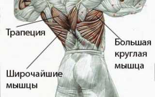 Подтягивания на турнике: все о технике