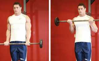 Как за месяц накачать мускулистые руки — программа на бицепс и трицепс на 30 дней для начинающих