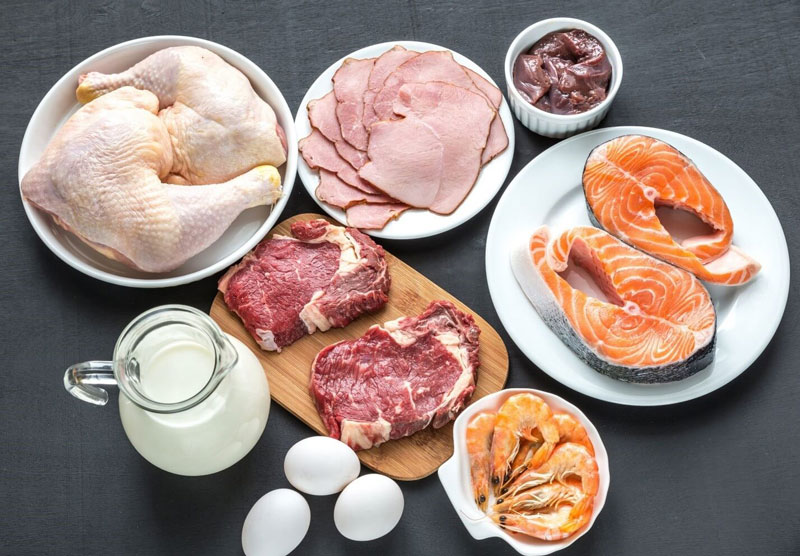 Белковые продукты для похудения