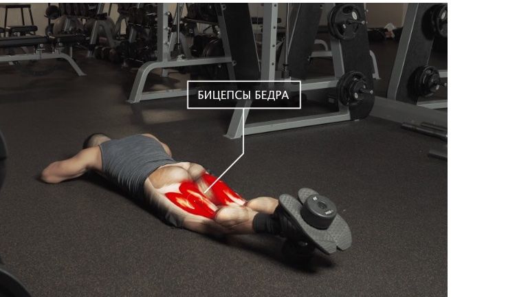 Упражнение для прокачки задней поверхности бедра
