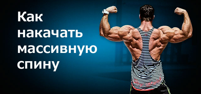 Как накачать мышцы спины на массу