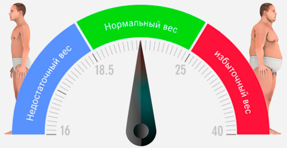 Индекс массы тела