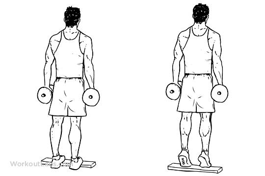 Подъем на носки с гантелями