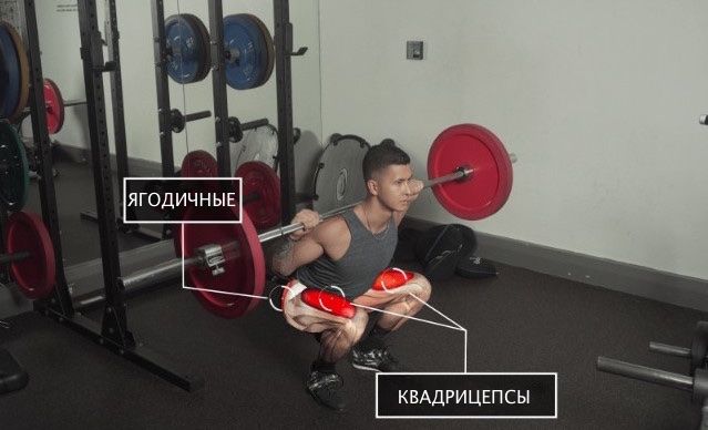 Приседания со штангой активируют ягодичные мышцы и квадрицепсы