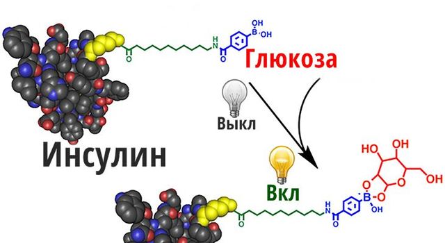 Функции инсулина