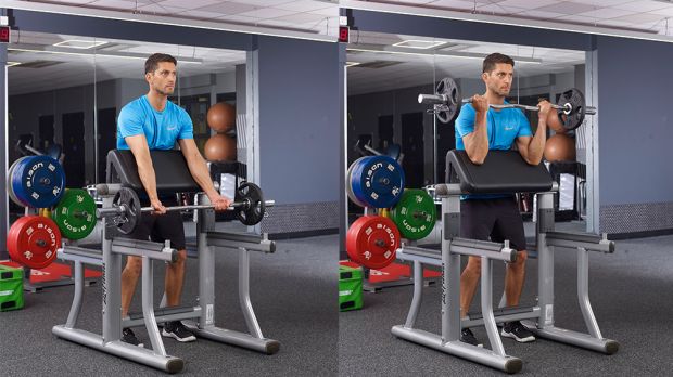 Подъем штанги на лавке Скотта