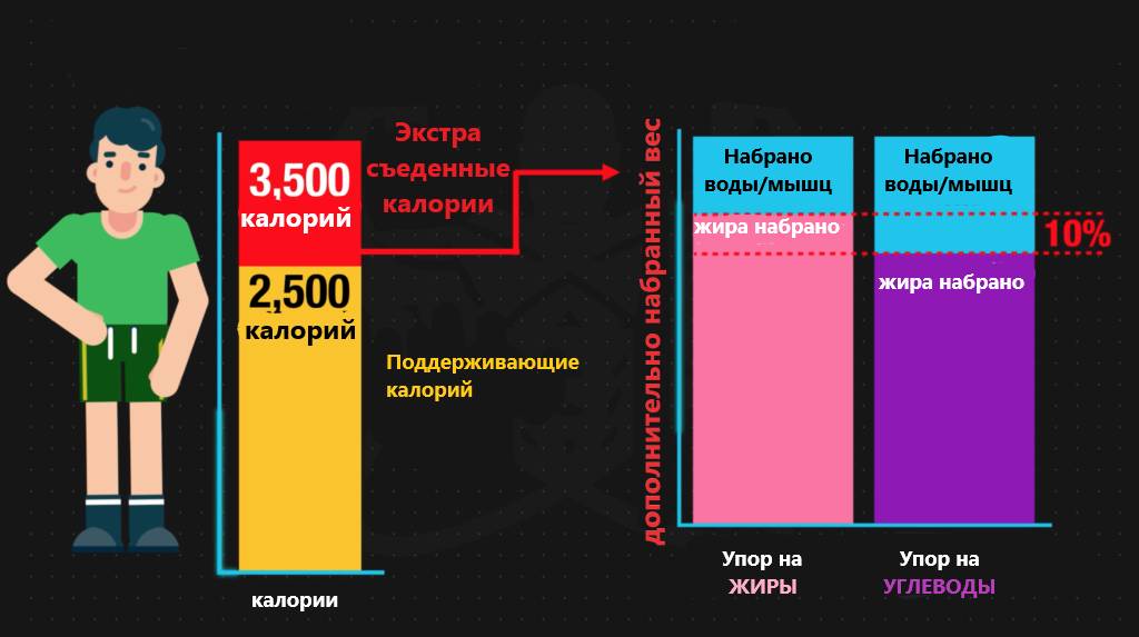 углеводы и жиры читмил