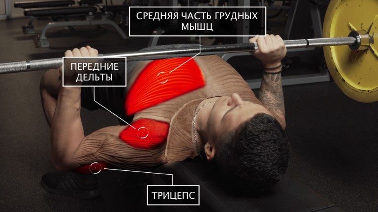 Жим штанги лежа на горизонтальной лавке