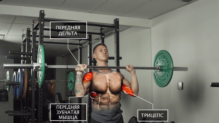 Жим штанги стоя для передней дельтовидной мышцы, трицепса, передней зубчатой мышцы